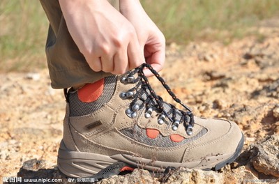 1295091 153918751000 2