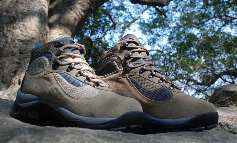 1295091 223306612000 2